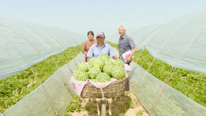 全景盐城 | 走向我们的小康生活(三) 盐城农产品