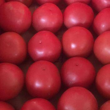 梅茂明 盐城农产品批发供应商在惠农网的崛起与机遇