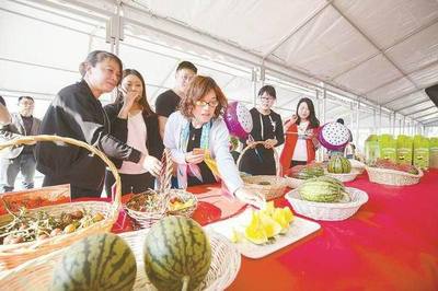 持续接轨上海，盐城百种农产品即将进入上海百个社区