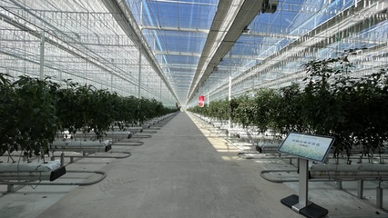 盐城四家单位获评省数字农业农村基地 助力农产品数字化转型升级