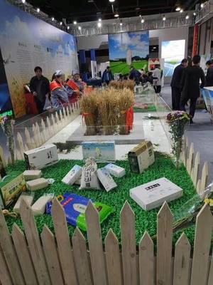 盐城农产品香飘申城 “小时候的味道”唤起沪上乡愁